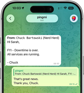 pingmi telegram bot reaching out with a new message
